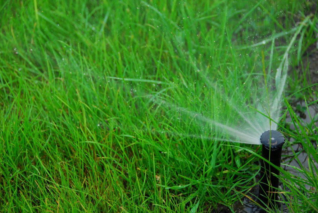 Water Conservation in Your Yard | Aurora, Ohio