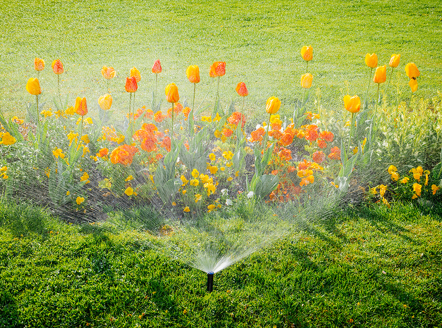 Spring sprinkler service cleveland