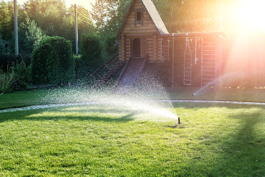 Nice green backyard lawn with irrigation system installed.