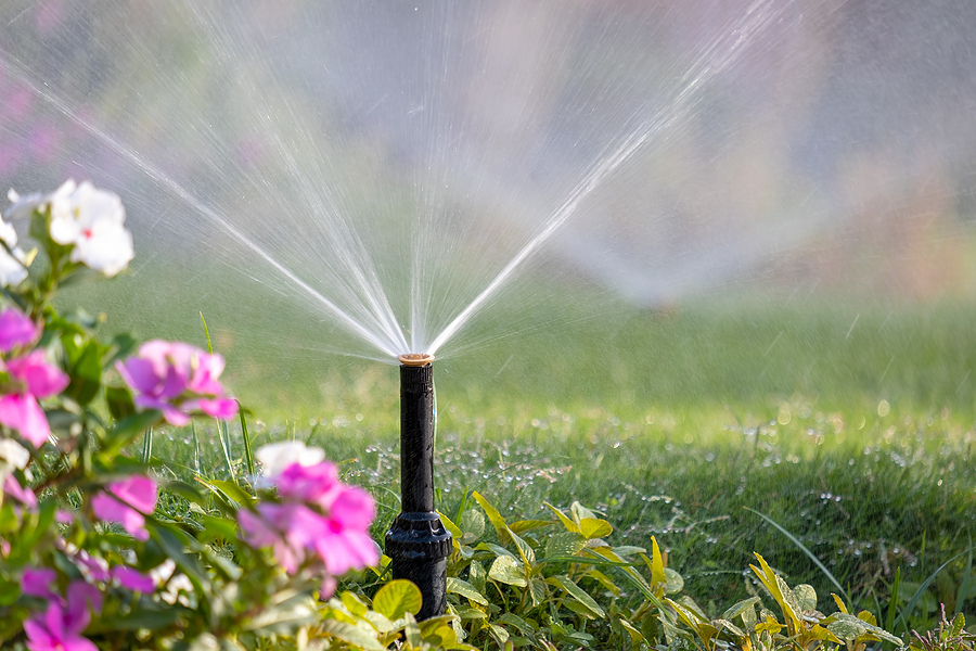 Plastic sprinkler irrigating flower bed on grass lawn with water in summer garden. 