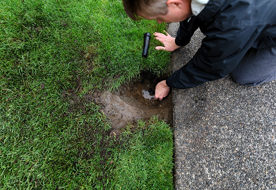 Sprinkler system being repaired by a professional.