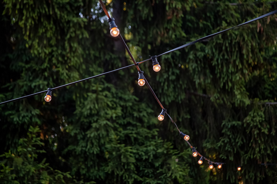 Patio string lights with pine trees in the background
