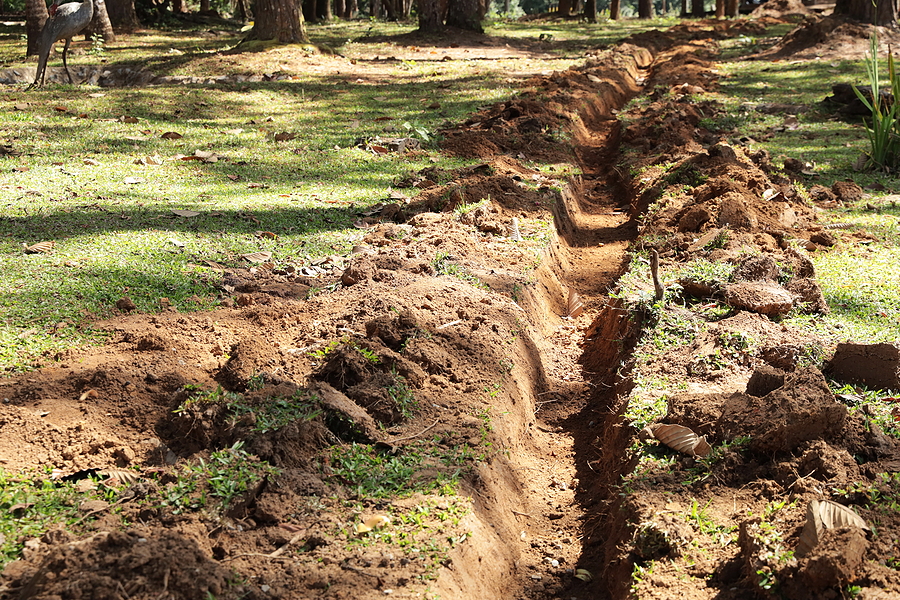 close up photo of a trench that has been dug with trees in the background