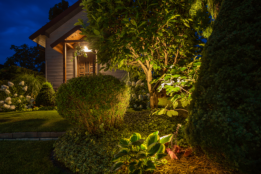 Beautifully Illuminated Backyard of Residential House. Landscape Garden with Ambient Lighting System Installation Highlighting Plants. Wooden Shed in the Background.