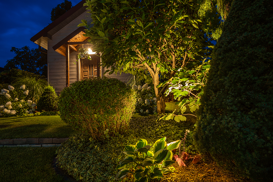 Ambient store garden lighting