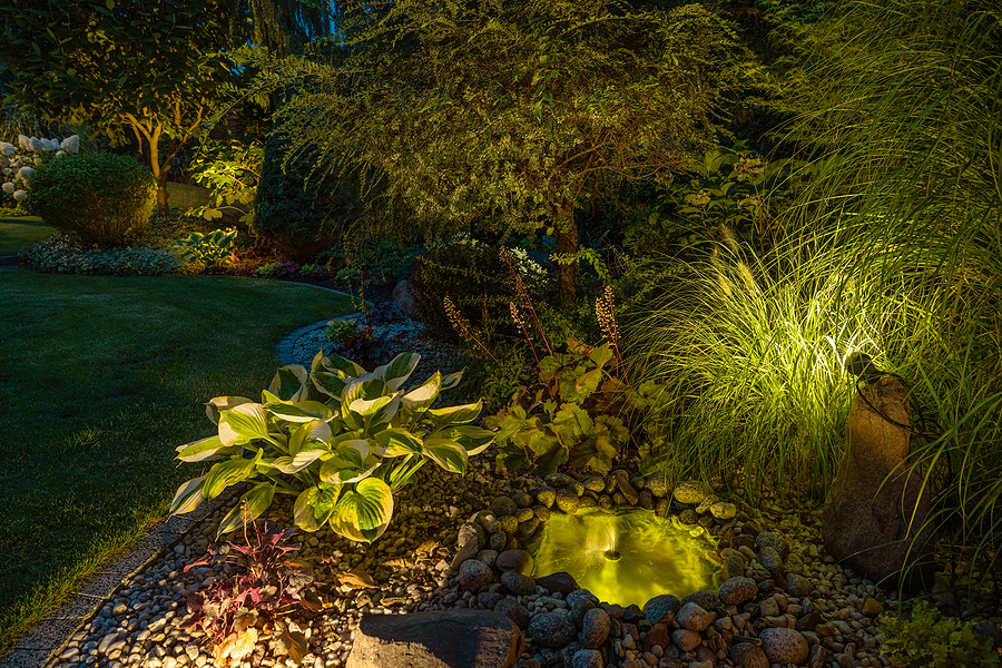 Landscape lighting at night in residential yard