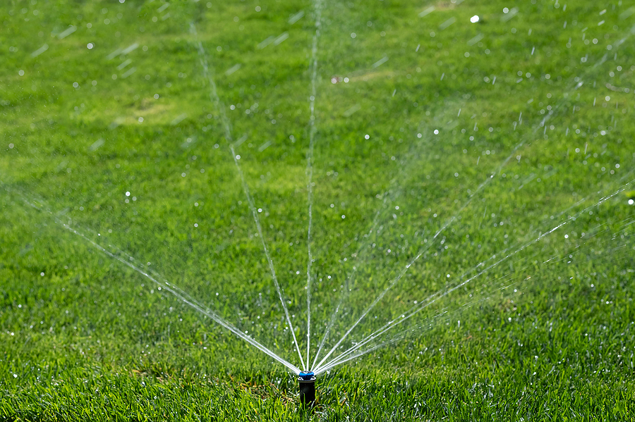 Image of a pop up lawn sprinkler spraying six small streams of water onto the grass.