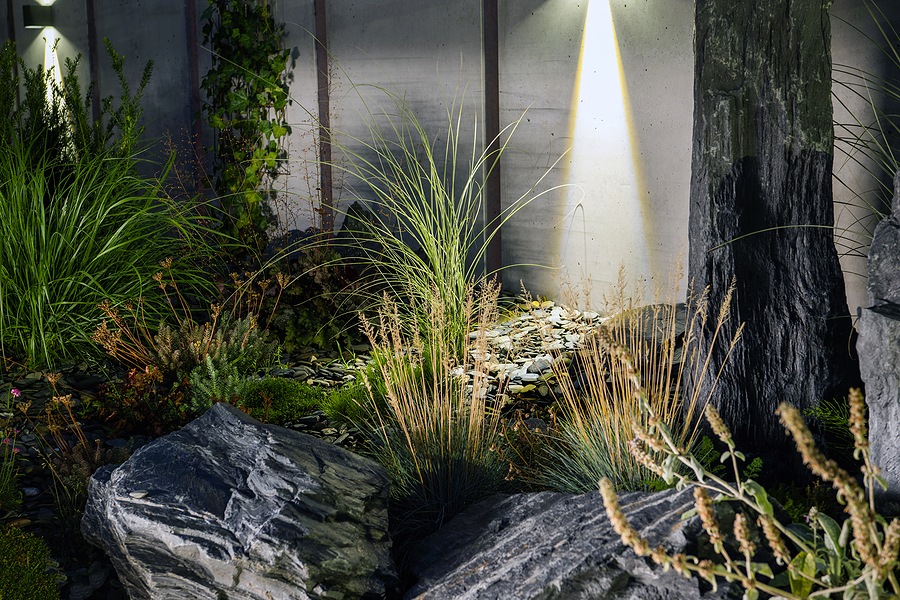 Garden-scape with rocks and plants next to a building with downlighting above it.