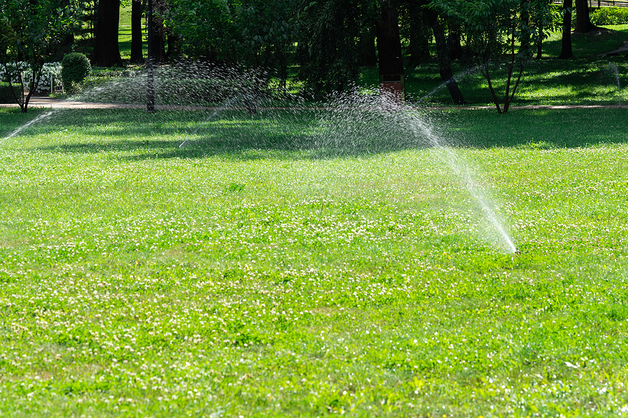 Single stream lawn irrigation system watering green grass