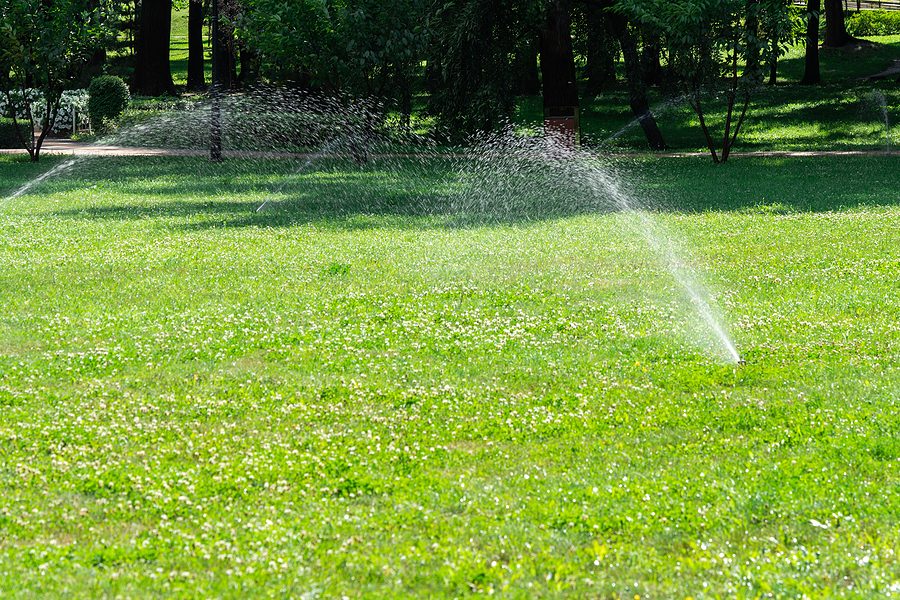 Lawn Irrigation