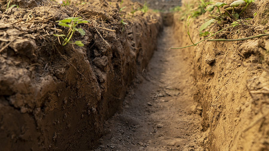 close up photo of a trench dug out in a green lawn