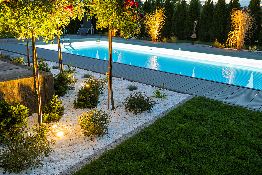 backyard at evening with in-ground pool and landscaping with bushes, small trees, rocks, and uplighting