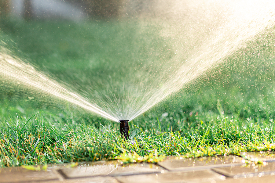 automatic sprinkler system popped up and watering grass near sidewalk