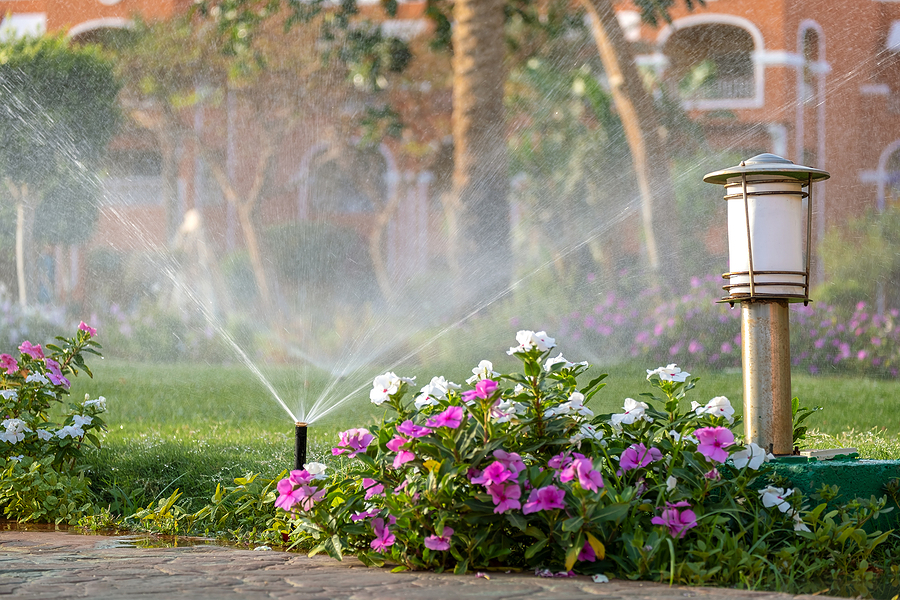 pop-up lawn sprinkler watering flower bed and lawn next to landscape light