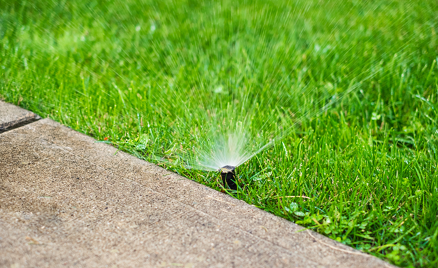 Sprinkler head on the edge of a residential lawn.